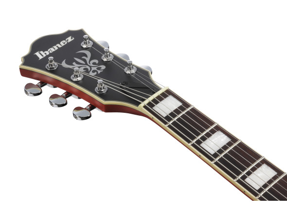 ibanez-as73-ttf_67d851aeabd90.jpg