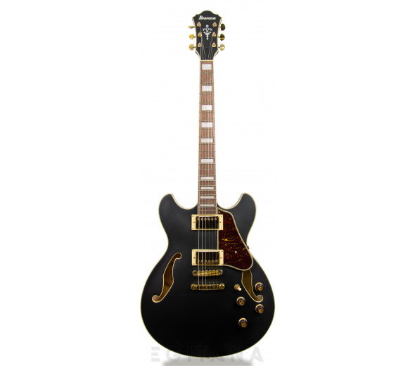 Ibanez  AS73GBKF