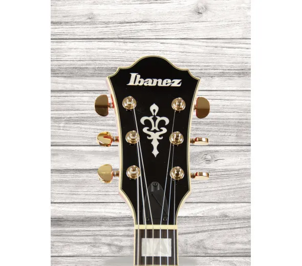 ibanez-as93fm-tcd_60a29799c0005.webp