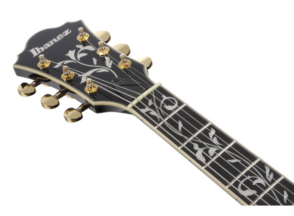 ibanez-as93sp-bk_679755452ff8f.jpg