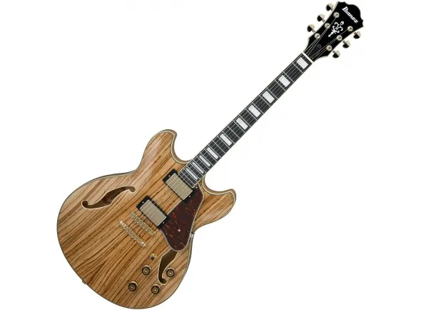 ibanez-as93zw-nt_5c94fb299c9cd.webp