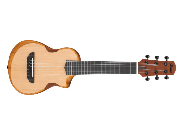 Ibanez  AUP10N-OPN