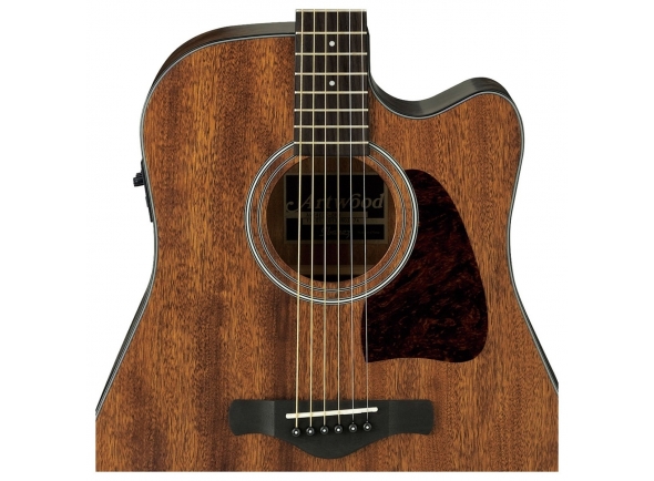 Ibanez AW54CE-OPN