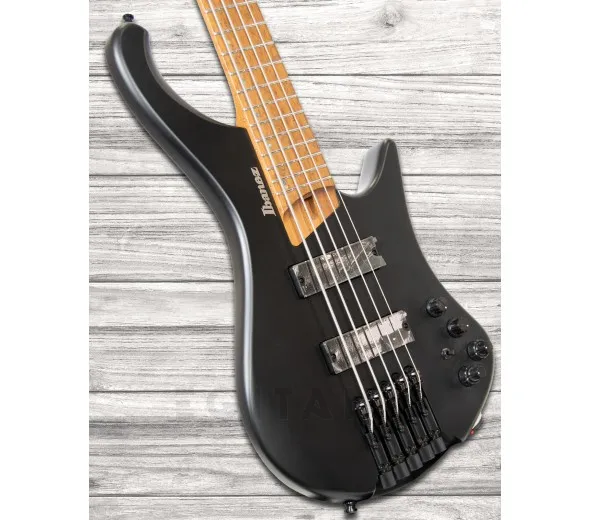 ibanez-ehb1005-bkf_5fca581829d78.webp