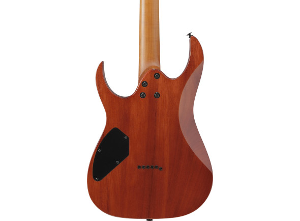 ibanez-grgr221fa-tdk_69676fecc9f13.jpg