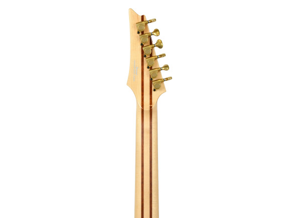 ibanez-iv2rg-visions-rg_6ad0e5a1cb662.jpg