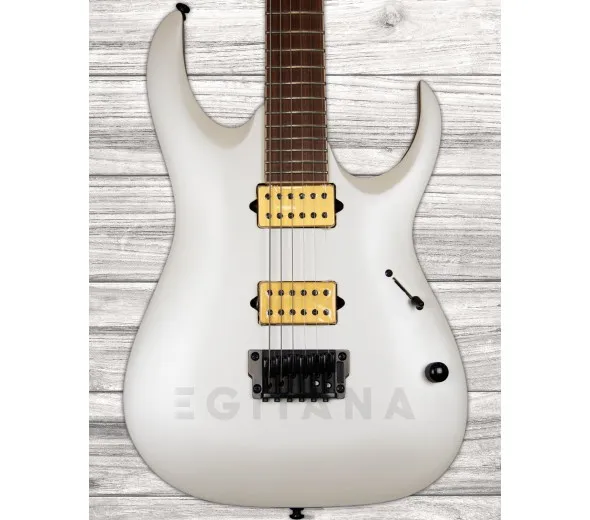 ibanez-jbm10fx-pwm_5fb5506437957.webp