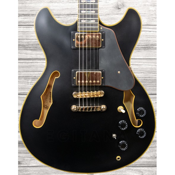 Ibanez JSM-20 Black Low Gloss  - Guitarra assinatura de John Scofield, Corpo: Flamed Maple, Topo: Flamed Maple, Braço: 3 peças de Nyatoh/Maple, Perfil do braço: JSM, Raio do braço: 305mm, 
