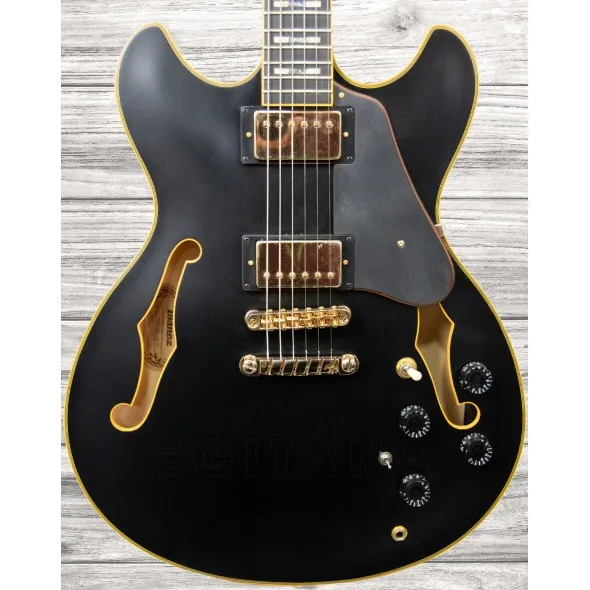 ibanez-jsm-20-black-low-gloss_5f5f8ba73b922.webp