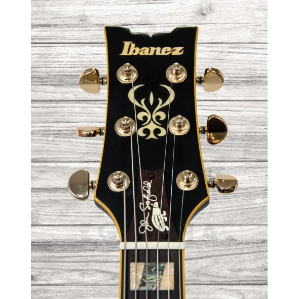 ibanez-jsm-20-black-low-gloss_5f5f8bac5a7af.webp