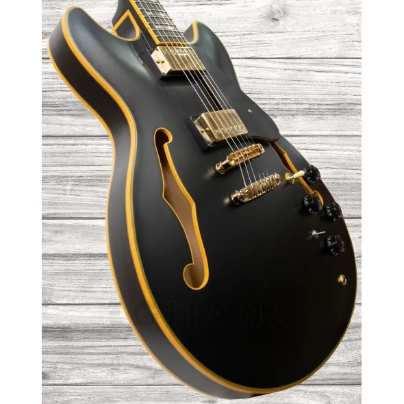 ibanez-jsm-20-black-low-gloss_5f69b3795da6b.webp