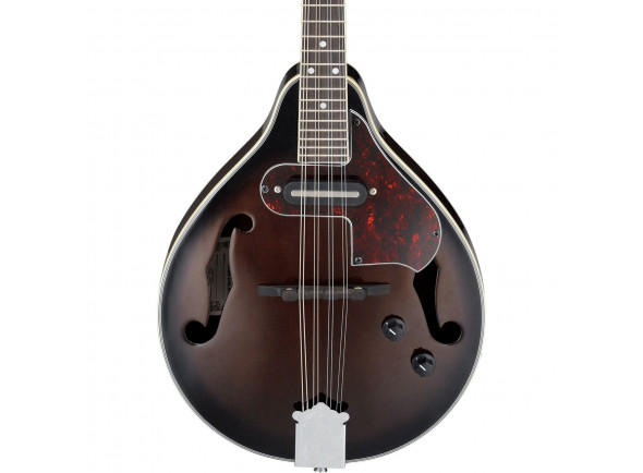 Ibanez  M510E-DVS