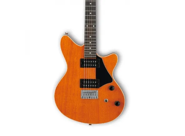 ibanez-rc220-aam_5dc3fa642137f.webp