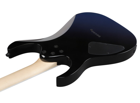 ibanez-rg421dx-tws_696e44652c50b.jpg