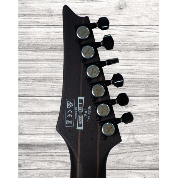 ibanez-rgd61al-ssb_5f0db49d84c5c.jpg