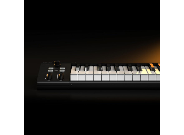 iCON Artist 37