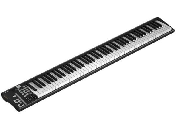 iCON Pro Audio Artist 88x