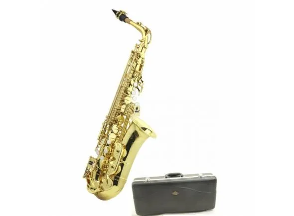 j-michael-sax-alto-al-500_59f75649d6524.webp