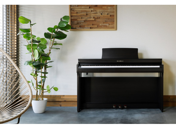 Kawai  CN-201 B