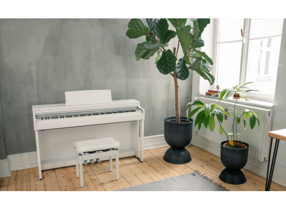 Kawai  CN-201 W