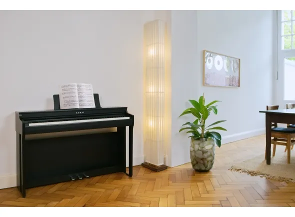kawai-cn-29-b_5eb188fa87cee.webp