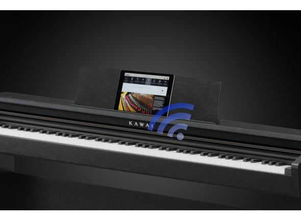 Kawai  KDP-120 B
