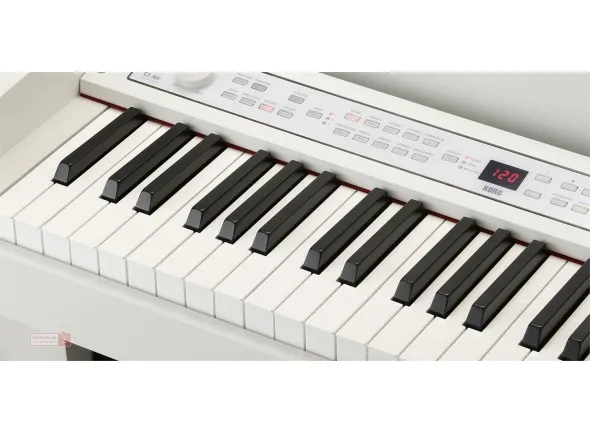 korg-c1-air-wh_5b3cddebd48ae.webp