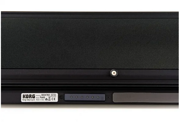 korg-paas-soundsystem_5aec6f957202d.webp