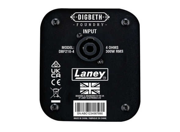 laney-digbeth-dbf210-4_6a2be6503ac48.jpg