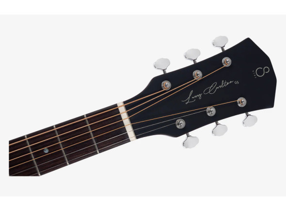 Larry Carlton G5A Natural