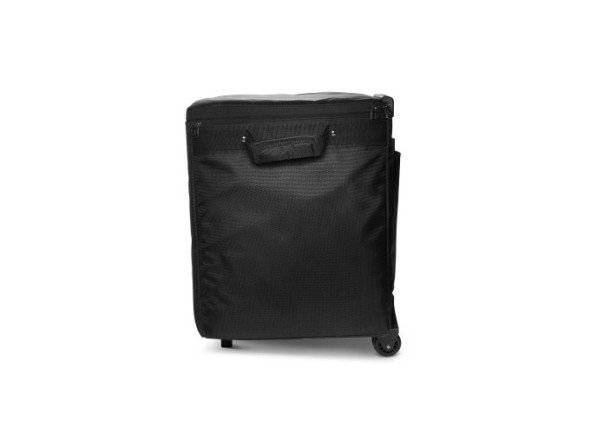 LD Systems DAVE 10 G4X BAG SET 