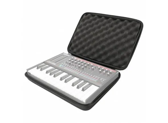 magma-ctrl-case-boutique-key_595e58e47d235.webp