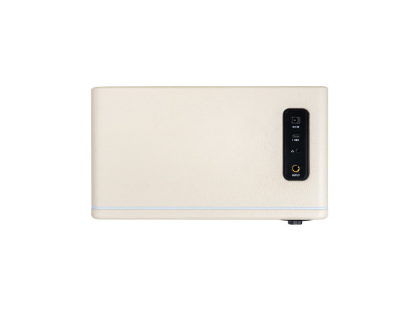 Mooer Hornet 15i Modeling Amp White
