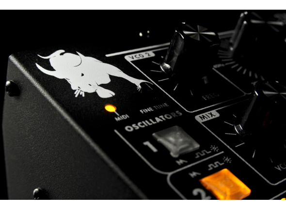 Moog Minitaur 