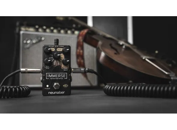 neunaber-immerse-reverberator-mk-ii_5f3135439a17c.webp