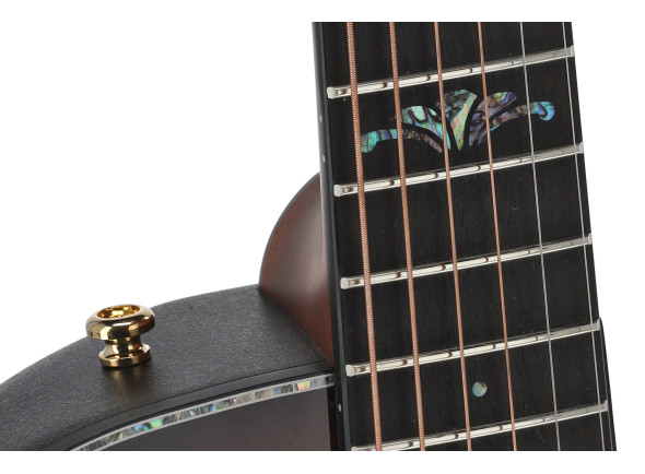 ovation-celebrity-elite-plus-mid-cutaway-sunburst_68347e46e0313.jpg