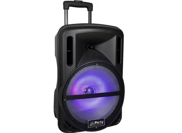 party-light-sound-party-meety10_5b30b3b718f46.webp