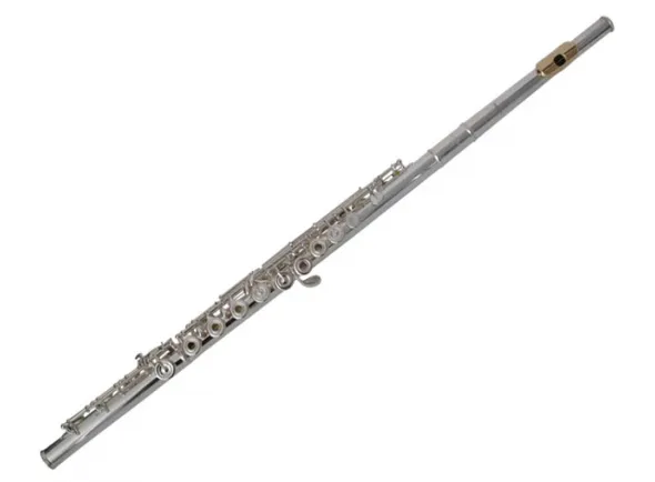 pearl-flauta-transversal-695rbe-vigore-dolce-desalinhada-prateada_5b75ab1494fa3.webp