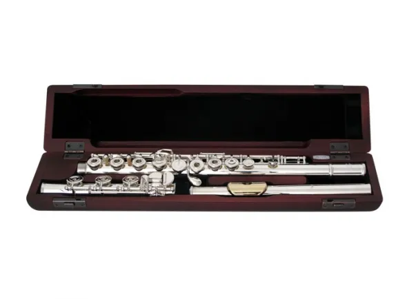 pearl-flauta-transversal-695rbe-vigore-dolce-desalinhada-prateada_5b75ab14cc4bd.webp
