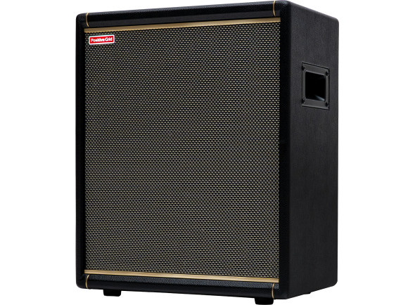 Positive Grid Spark Cab 2 — Comprar Positive Grid Spark Cab 2 BK en Egitana