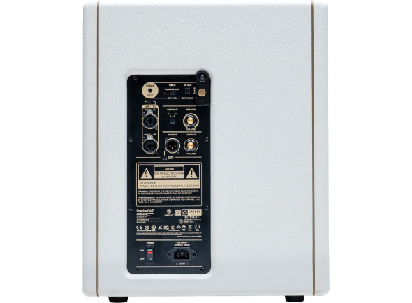 positive-grid-spark-cab-2-pearl_6ae07641c89a7.jpg