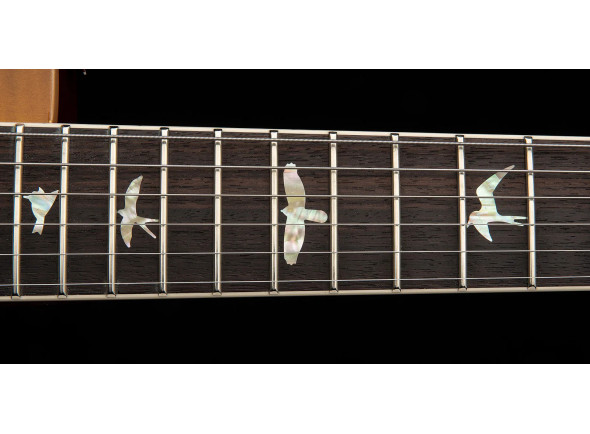 prs-40th-anni-mccarty-sc56-ms_68e8d9594283a.jpg