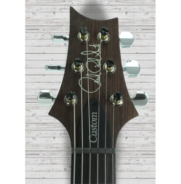 prs-custom-24-faded-whale-blue_5ca7842824ae4.webp