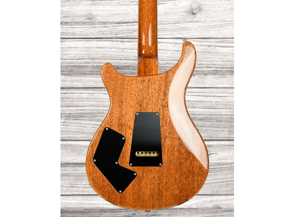 prs-modern-eagle-v-yellow-tiger_67e2e1486c3e5.jpg