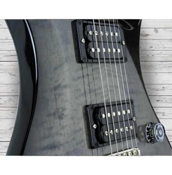 prs-s2-custom-24-elephant-gray_5caccff779408.webp