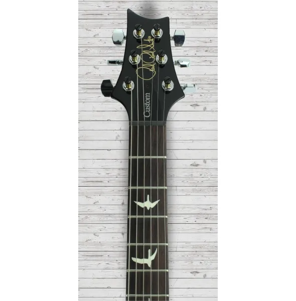 prs-s2-custom-24-elephant-gray_5caccfff3aa36.webp