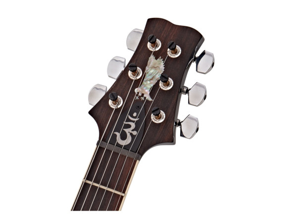 prs-santana-retro-fw_68e8dc5700c6e.jpg