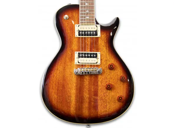 prs-se-245-standard-ts_602a7f7f3f825.webp