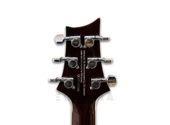 prs-se-245-standard-ts_602a7f83b51f4.webp