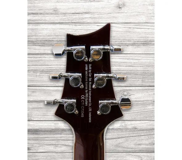 prs-se-245-standard-ts_6093cd94e2801.webp